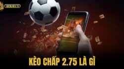 Kèo Chấp 2.75 Là Gì – Cách Tính Tiền Và Chiến Lược Chơi