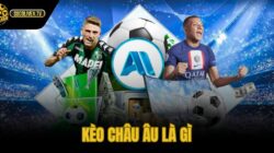 Kèo Châu Âu Là Gì – Đọc 1X2 Tính Odds Chuẩn Socolive